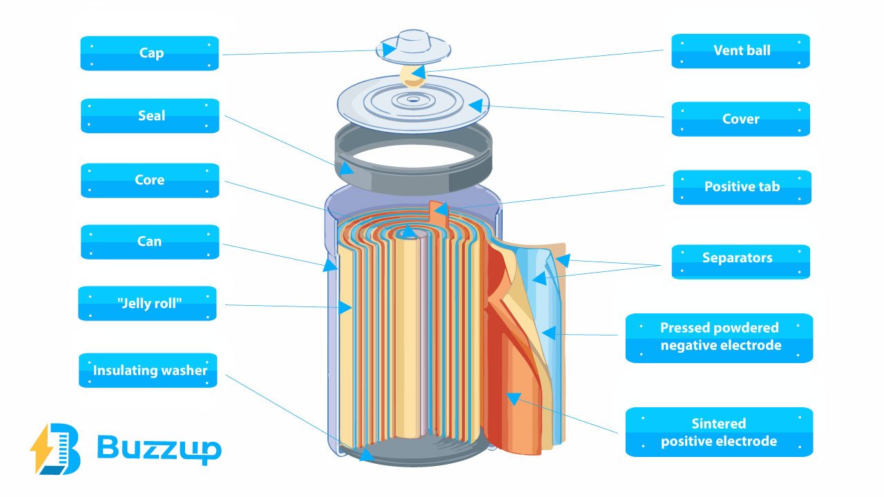 Cylindrical Cells Guide 2