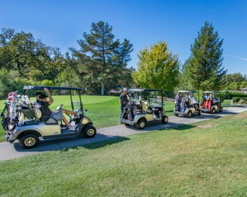 Golf cart Lead Vs Lithium Battery Blog